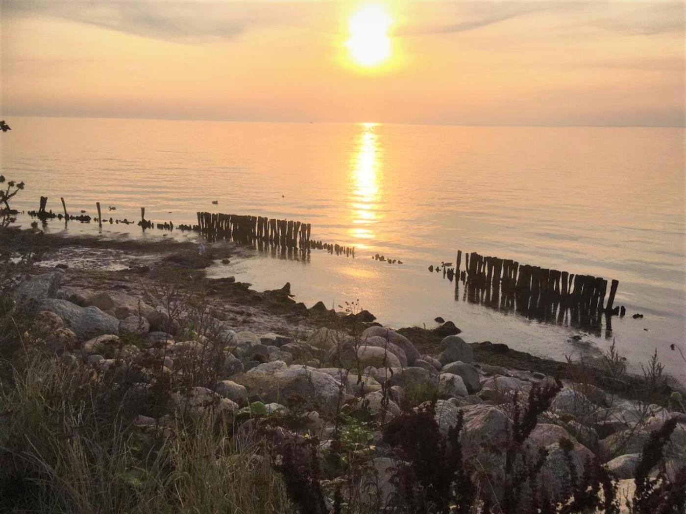 Dahmer Strand 18 Muschelhus Luaran gambar